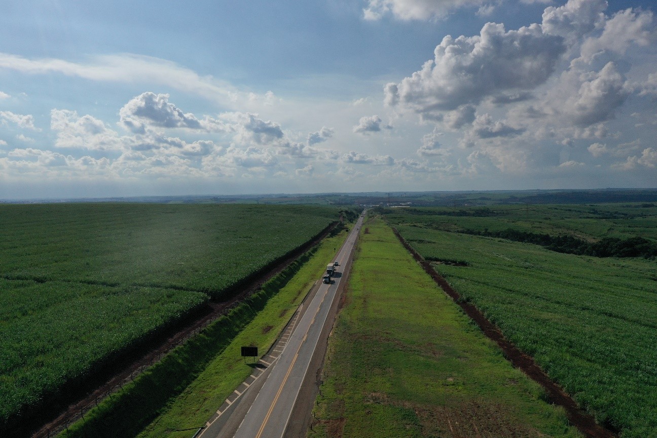 Cinto de segurança é item ignorado por até 80% dos passageiros em rodovias da região; veja lesões que podem ser evitadas pelo uso