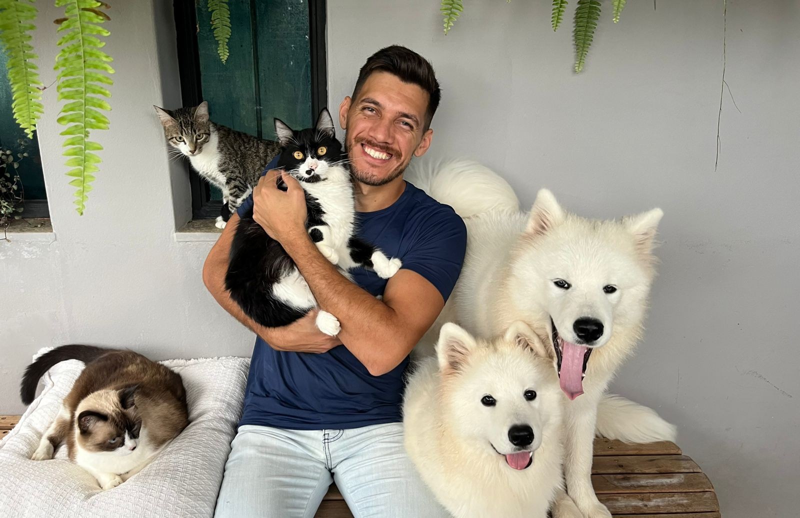Gato que viralizou nas redes sociais depois de usar vaso sanitário está concorrendo ao prêmio iBest 2025