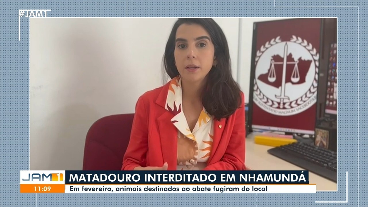 Fiscalização interdita abatedouro em após fugas de boi e búfala causarem tumulto em cidade no AM