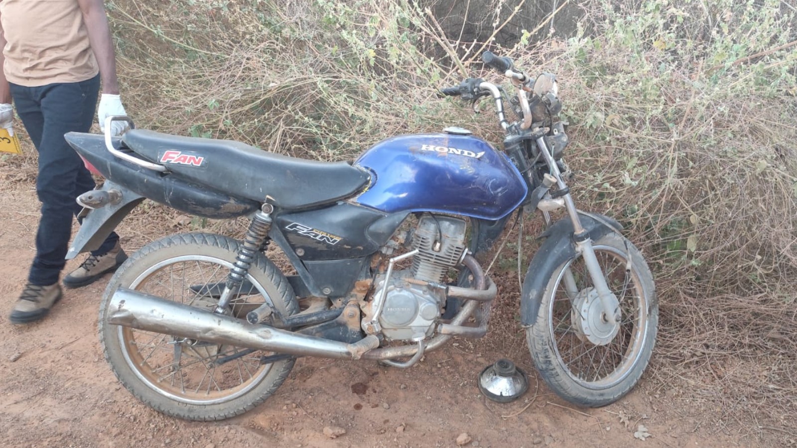 Mulher morre após colidir com porco em estrada no Sudoeste do Piauí