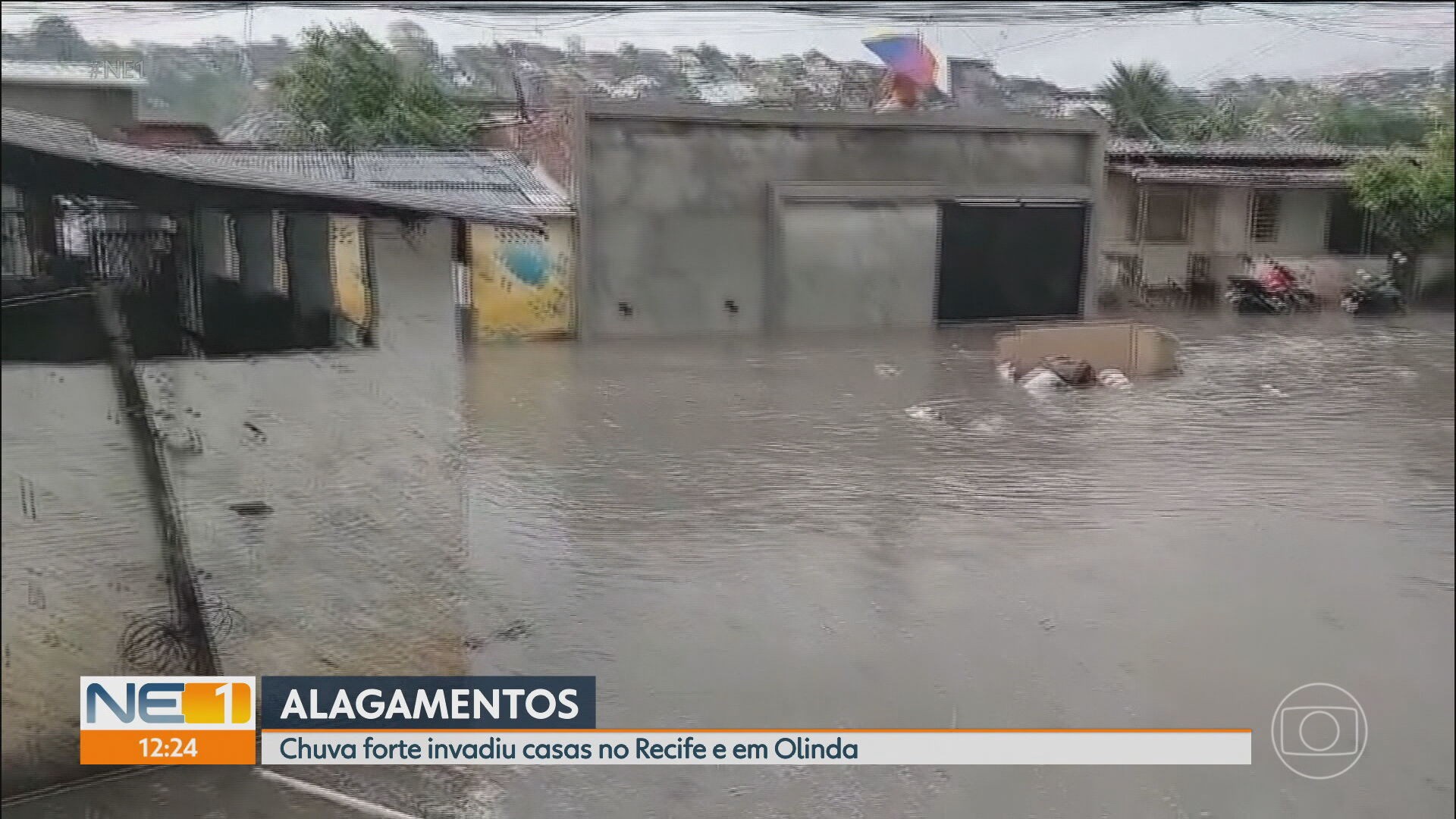 VÍDEOS: NE1 de terça-feira, 14 de janeiro de 2025