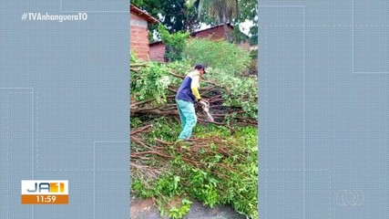 Chuva forte e ventania provoca estragos em Colinas