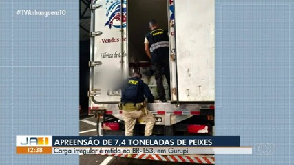 Carga irregular de peixes é retida na BR-153, em Gurupi