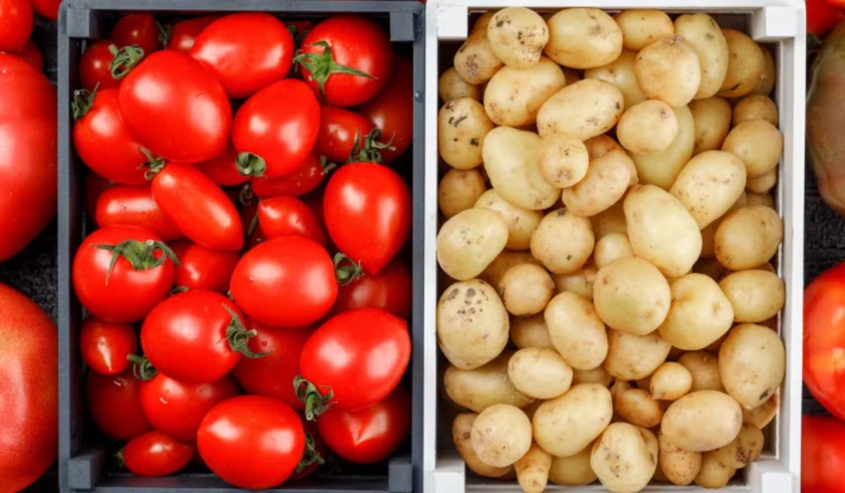 Tomate cai quase 40%, mas batata e feijão puxam alta da cesta básica que chega a R$ 293,98 em julho em Manaus