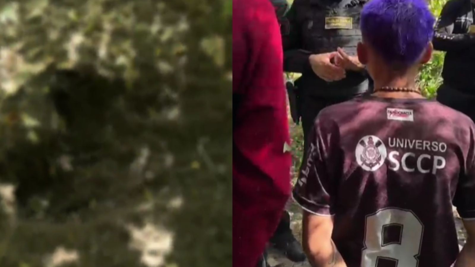 'Pedia para não morrer': faccionados detalham morte e ocultação do corpo de vítima de 15 anos no PI; vídeo