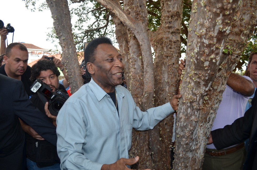 Pelé toca as jabuticabeiras originais no quintal da casa onde viveu em Três Corações, MG. — Foto: Samantha Silva / G1