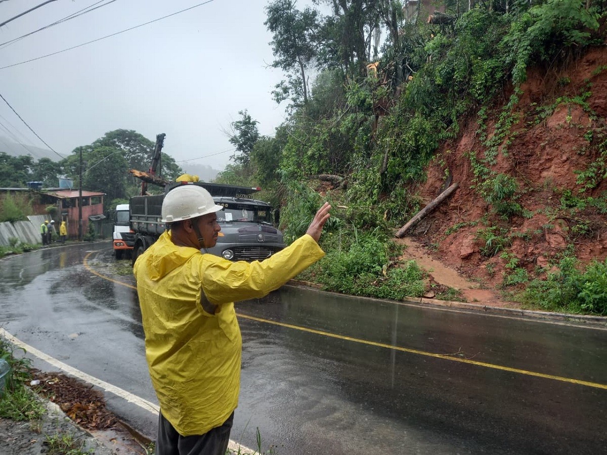 Avenida José Lourenço é parcialmente interditada após queda de árvore no Bairro Borboleta, em Juiz de Fora