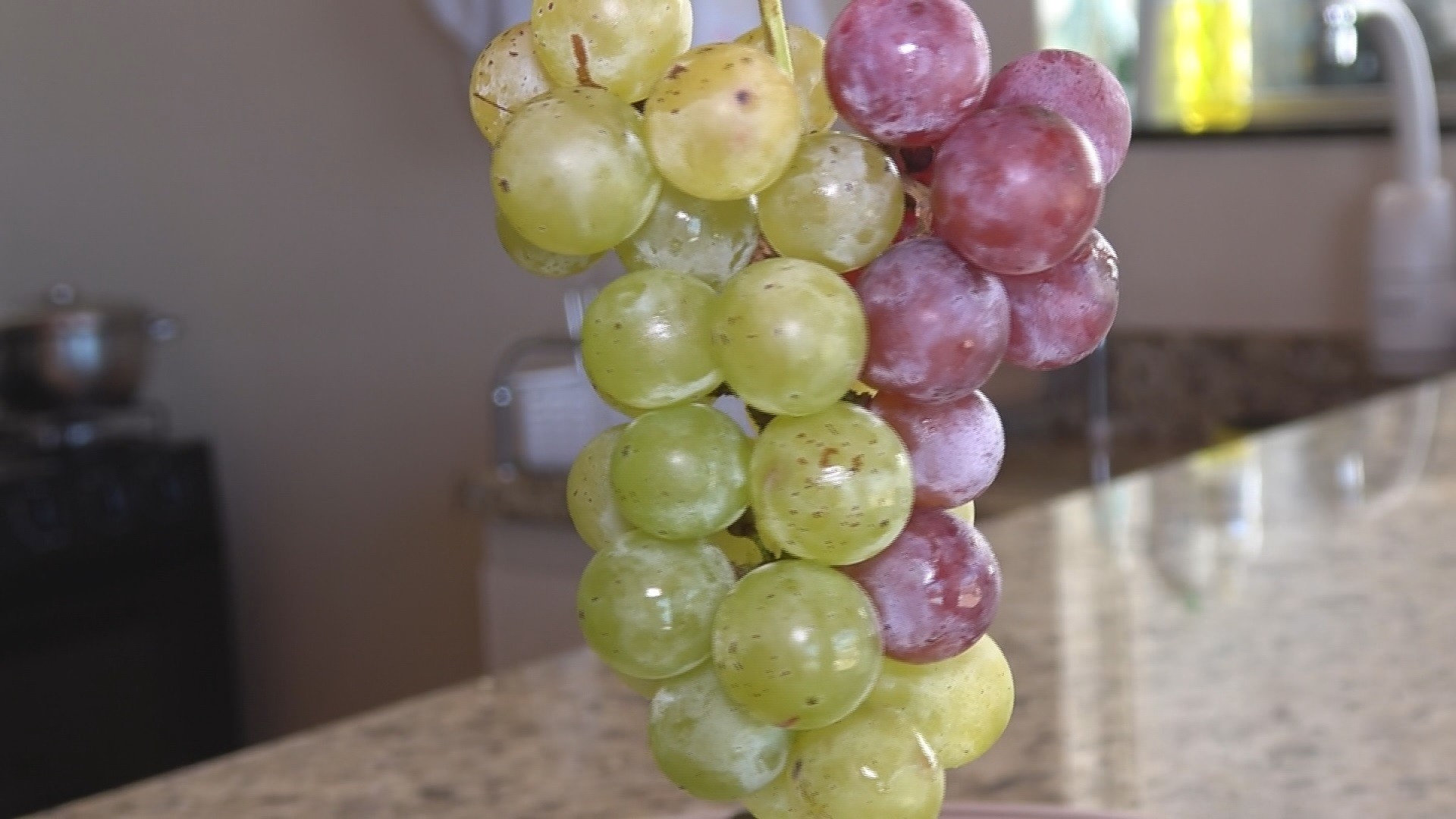 Cacho de uvas de duas cores nasce em cidade do Paraná; entenda fenômeno