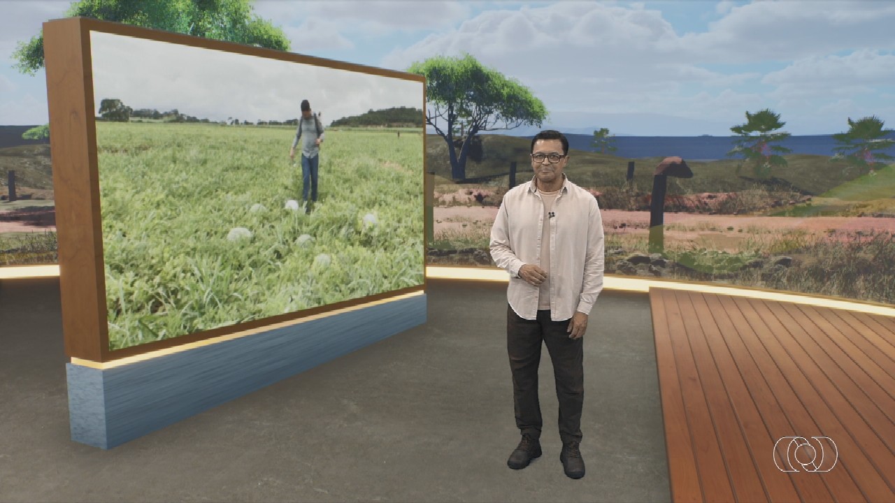 VÍDEOS: Jornal do Campo - TO deste domingo, 29 de março de 2026