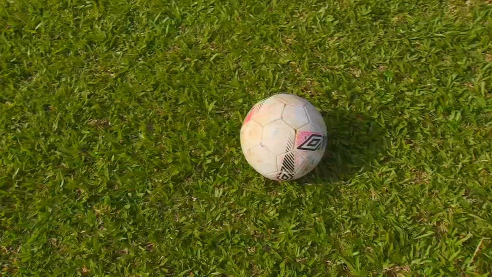 Produção de grama esportiva em Itapetininga (SP) atende clubes, escolas de futebol e centros de treinamento — Foto: TV TEM/Reprodução