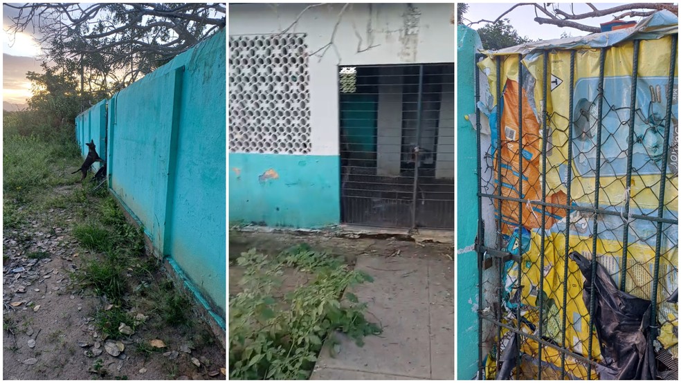 ONG recebeu denúncias de que escola abandonada era usada como canil irregular e animais morriam no local — Foto: ONG Anjos da Proteção Animal