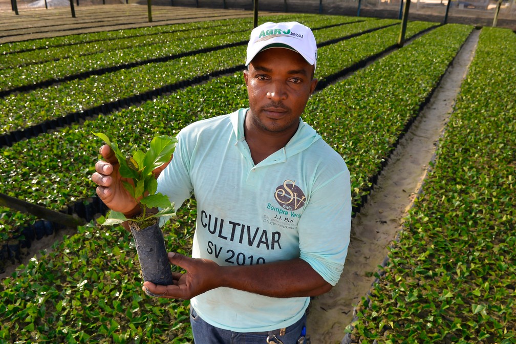 Rio Bananal realiza primeiro concurso de qualidade de café conilon -  Revista Negócio Rural