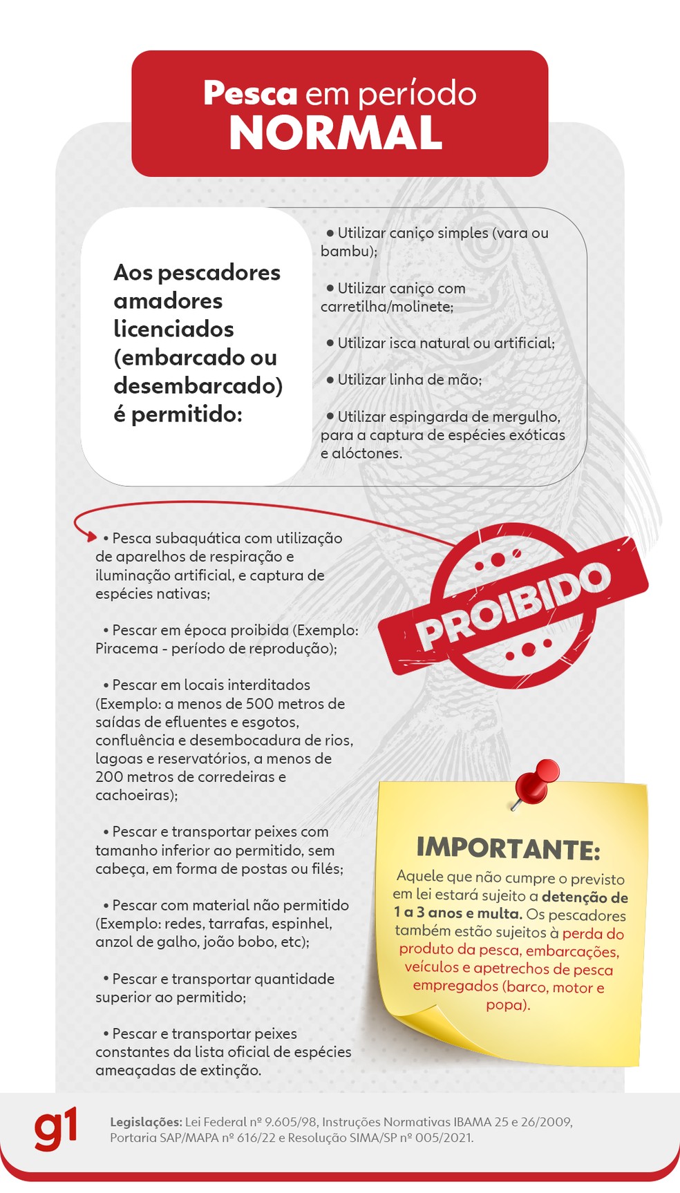 Mesmo fora do período de Piracema pescadores devem seguir regras — Foto: Mariele Santos/TV TEM