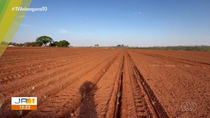 Confira os destaques do Jornal do Campo deste domingo (7)