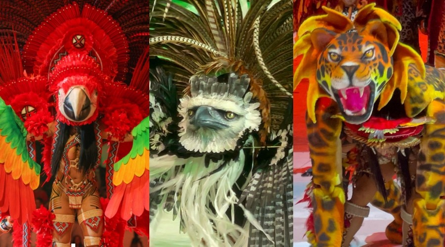 Arara vermelha, gavião e onça: relembre as transformações marcantes do Festival de Parintins 2025