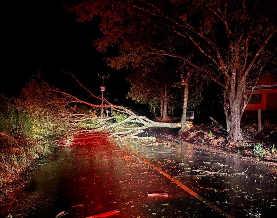 Chuva deixa moradores ilhados, provoca queda de árvores e estragos no Oeste de SC