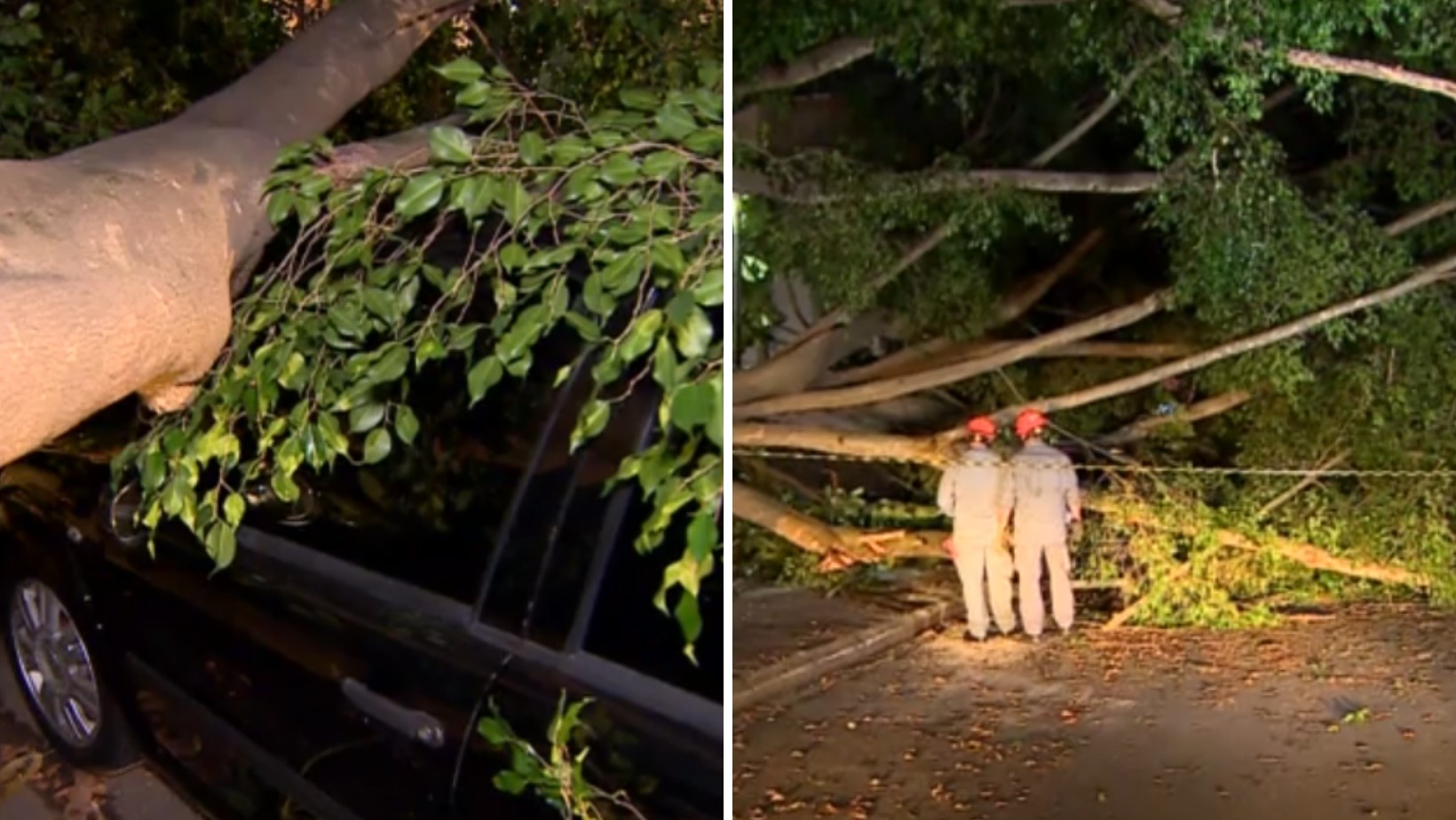 Árvore de grande porte desaba durante temporal, atinge carro e fecha rua no Jardim Esplanada, em São José