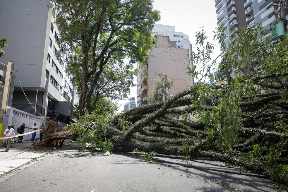 ocal da queda de uma árvore na Rua Cubatão com Eça de Queiroz, no bairro da Vila Mariana, zona sul da cidade de São Paulo (SP), nesta quinta-feira, 11 de dezembro de 2025. A capital paulista ainda enfrenta nesta manhã os impactos do vendaval que atingiu a cidade na última quarta-feira, 10. De acordo com o Corpo de Bombeiros, somente na quarta-feira, foram abertos ao menos 1.412 chamados para quedas de árvores na capital e na Região Metropolitana de São Paulo — Foto: Felipe Rau/Estadão Conteúdo