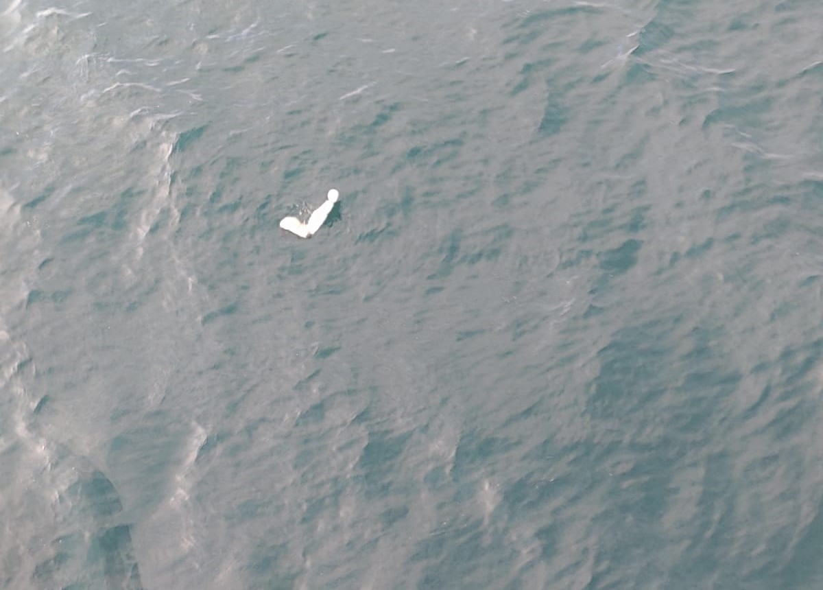 Relatório do Cenipa aponta 'pane seca' e falha de planejamento em queda de avião que matou piloto e deixou dois desaparecidos no litoral de SP