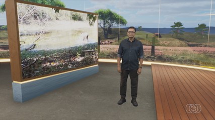 Confira as principais notícias do Jornal do Campo TO deste domingo (14)