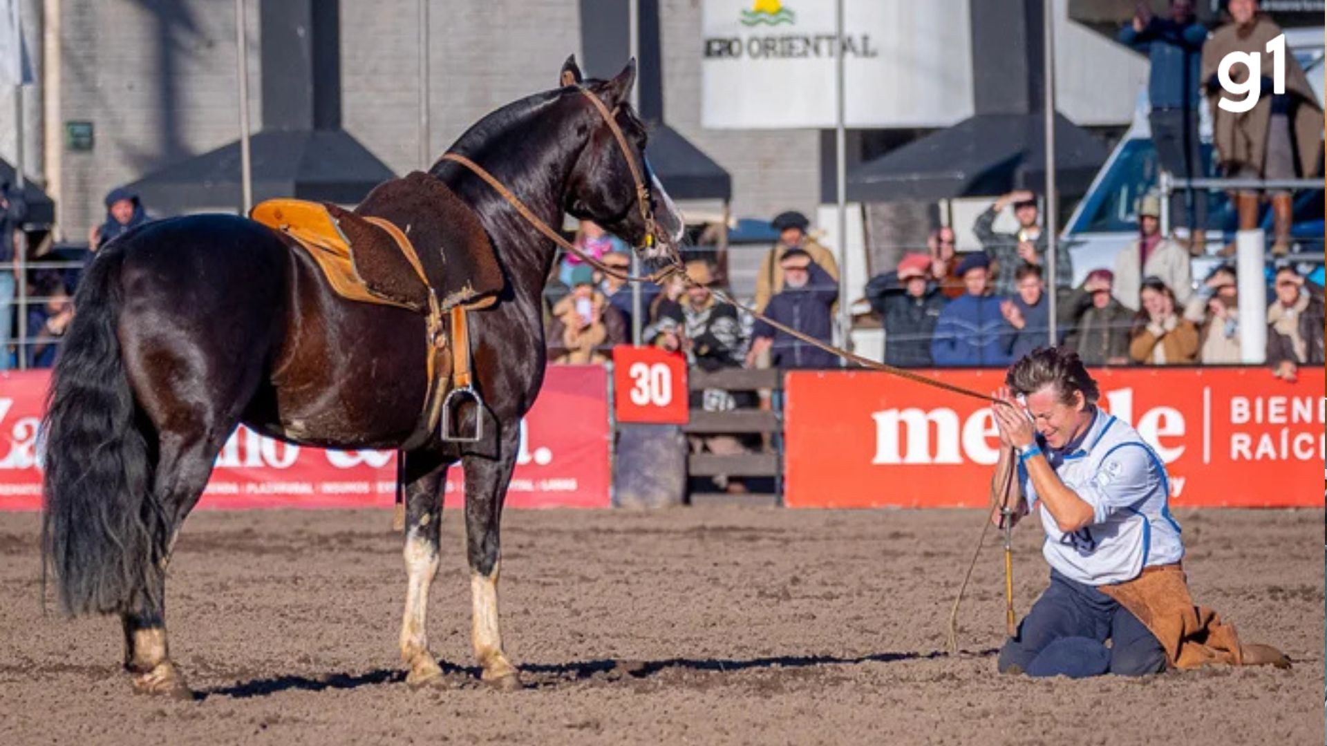 Da aposentadoria para ser hexacampeão: veja a história e trajetória do 'Cavalo das Américas'