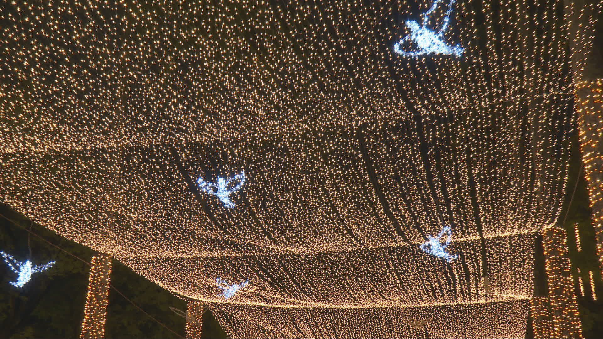 Praça da Liberdade inaugura luzes de Natal; veja fotos