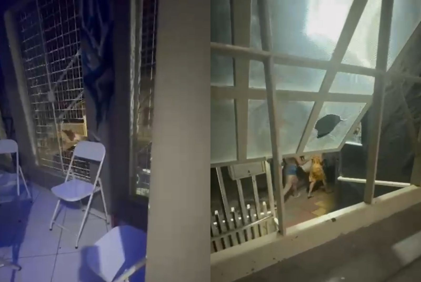 VÍDEO: discussão por som alto em adega no interior de SP termina em tiroteio na madrugada de Ano Novo