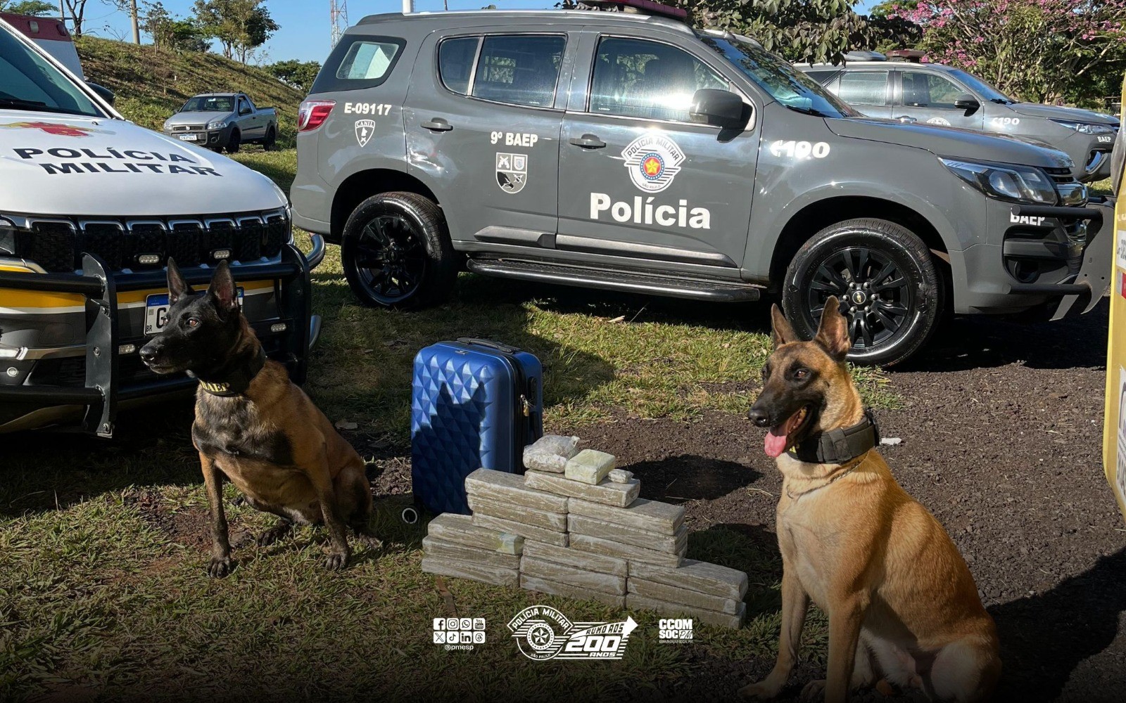 Adolescente de 15 anos é apreendido com maconha em ônibus interestadual 
