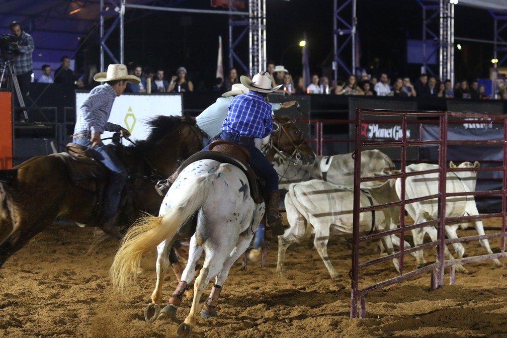 🚨ATENÇÃO🚨 Evite contas falsas - Jaguariúna Rodeo Festival