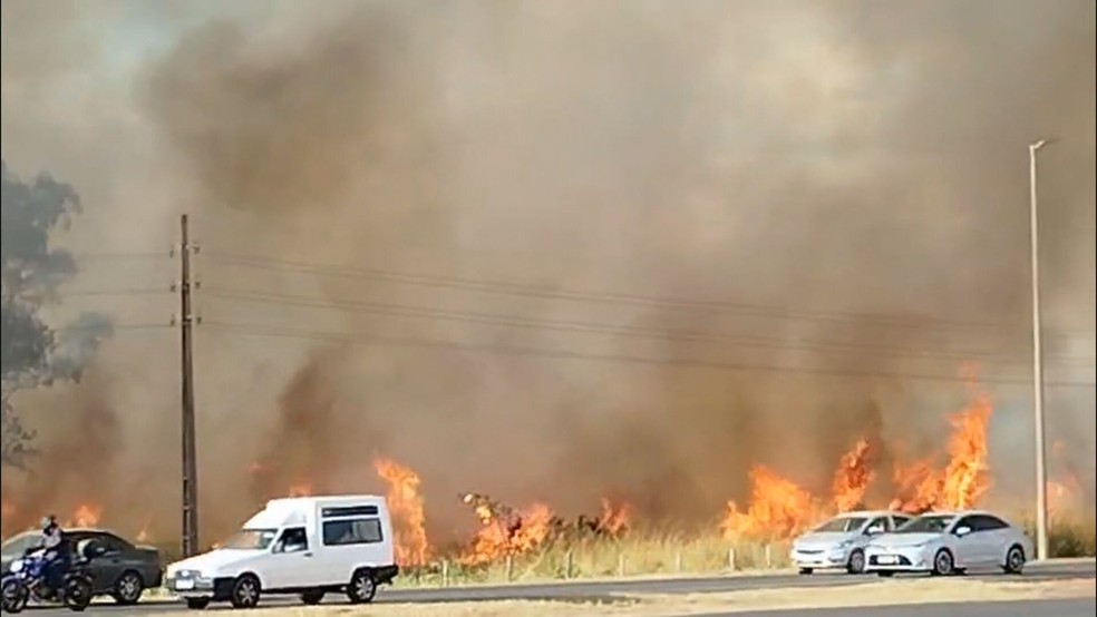 Incêndio atinge Floresta Nacional de Brasília perto da BR-070. — Foto: TV Globo/Reprodução