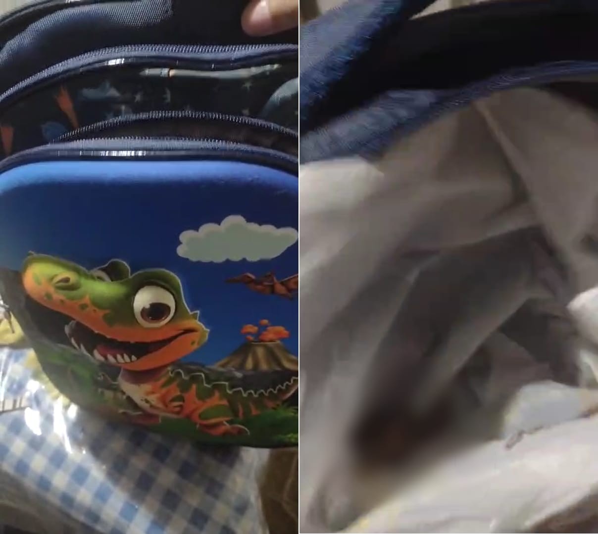 Mãe relata que filho de 3 anos voltou da creche com fezes dentro da mochila: 'estavam numa sacola'