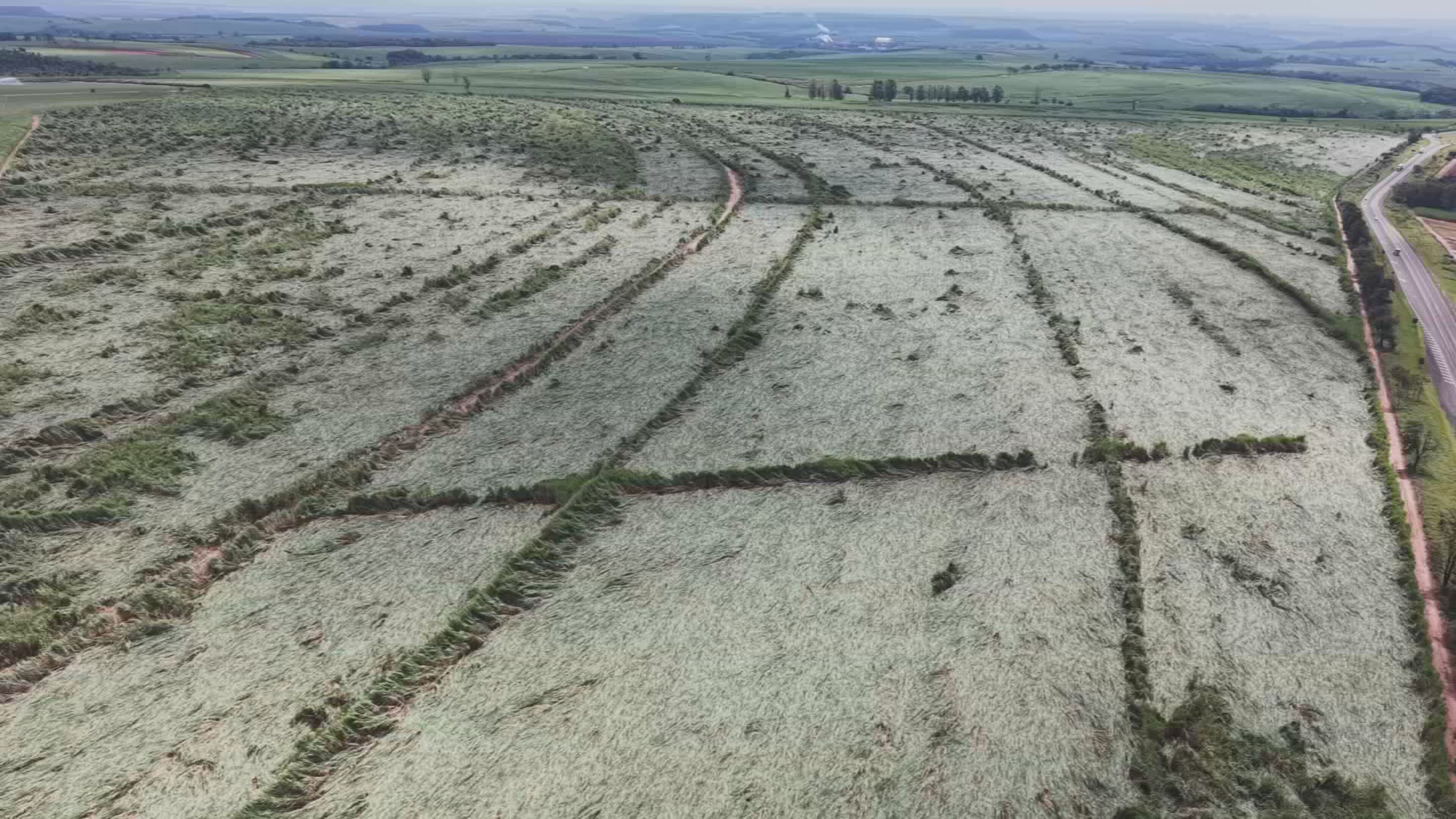 Microexplosão é suspeita de destruir canavial às margens de rodovia no interior de SP; veja imagens