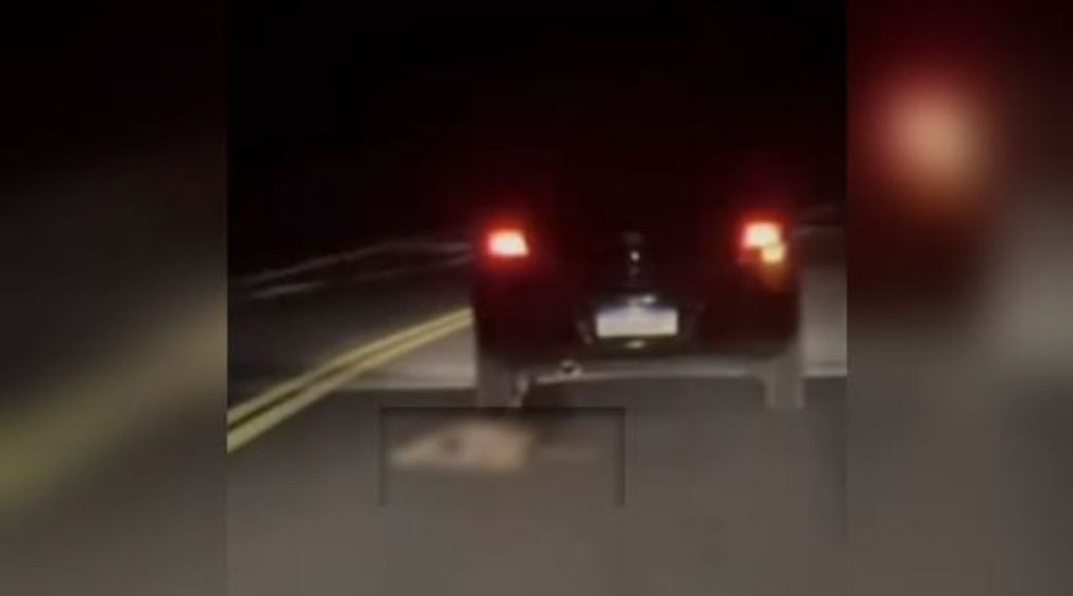 Cachorro morto é arrastado amarrado em traseira de veículo em rodovia de Nova Olinda, no Ceará — Foto: Reprodução