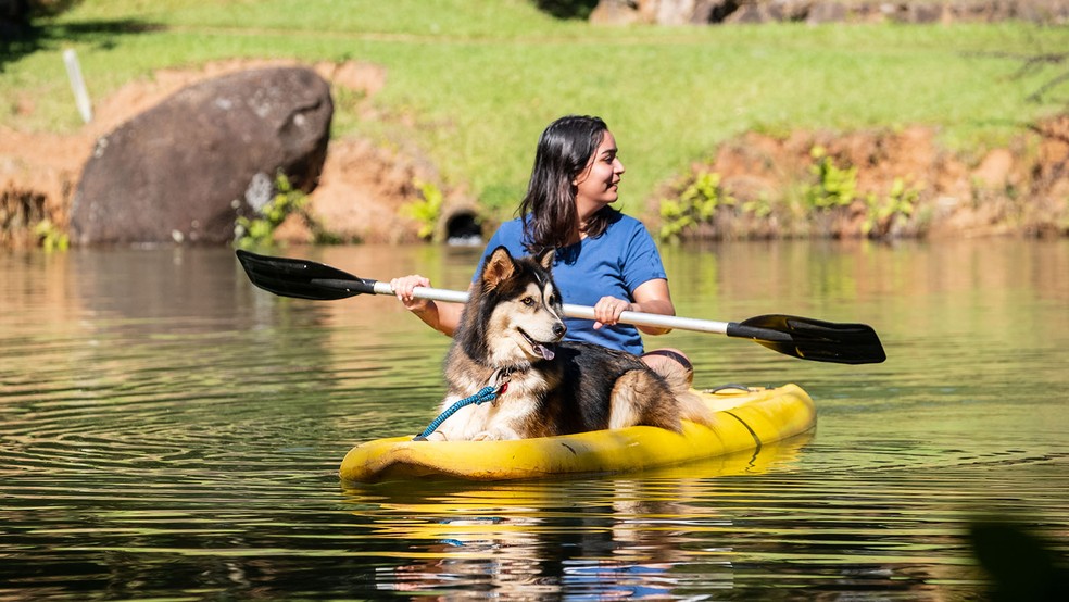 Pet friendly: o que significa e quais lugares são adeptos?