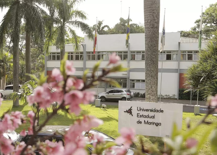 UEM abre processo seletivo para contratação de professores temporários; veja como participar
