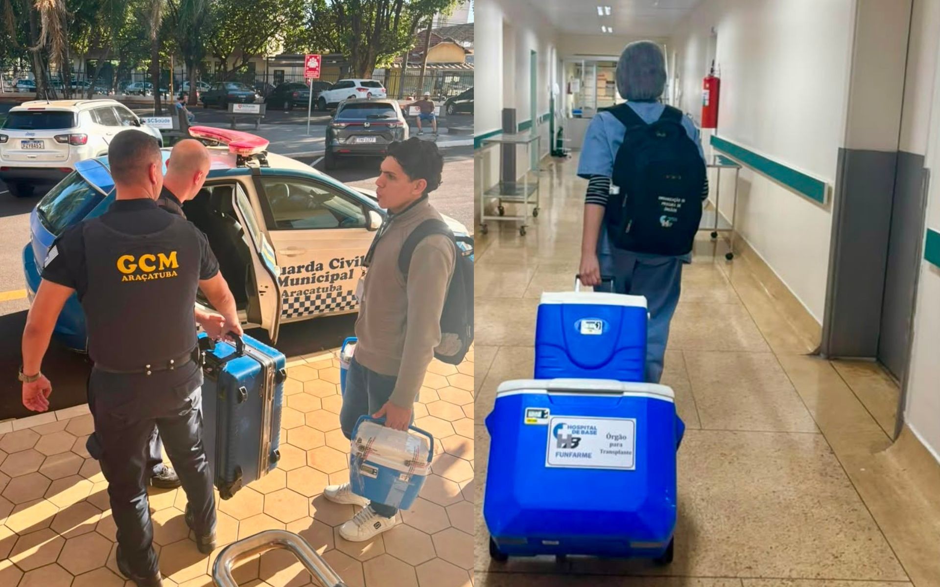 Hospital faz captação de órgãos de idosa vítima de morte cerebral em Araçatuba 
