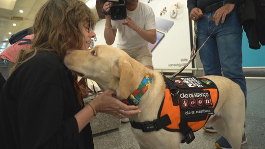 Cão Teddy chega a Portugal para se encontrar com menina autista - Foto: (Reprodução/ TV Globo)