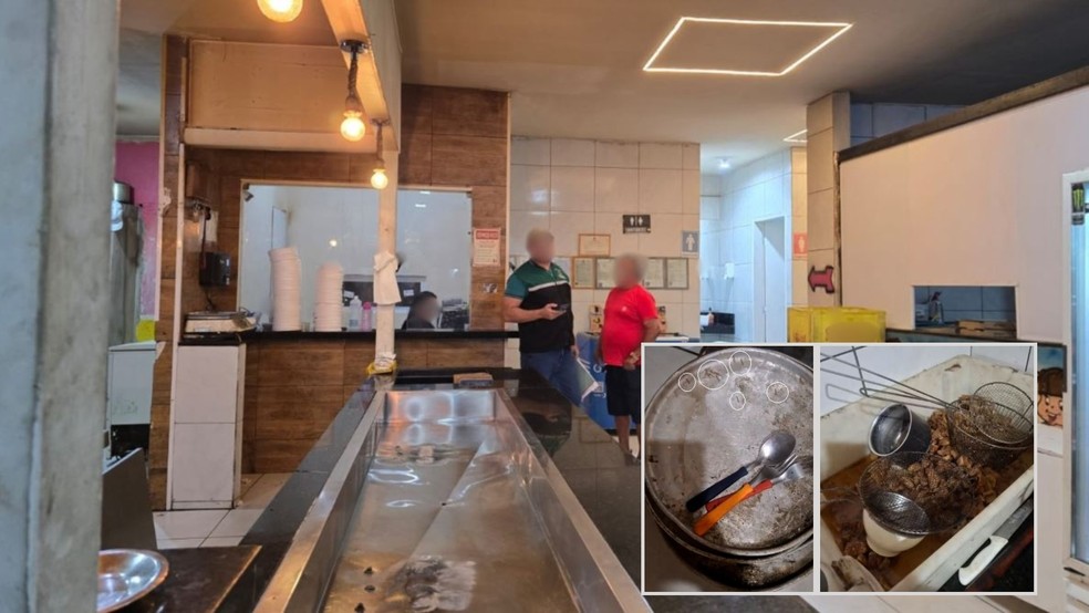 Restaurante com larvas e baratas reabre irregularmente e é interditado pela 2ª vez em Fortaleza. — Foto: Agefis/ Divulgação