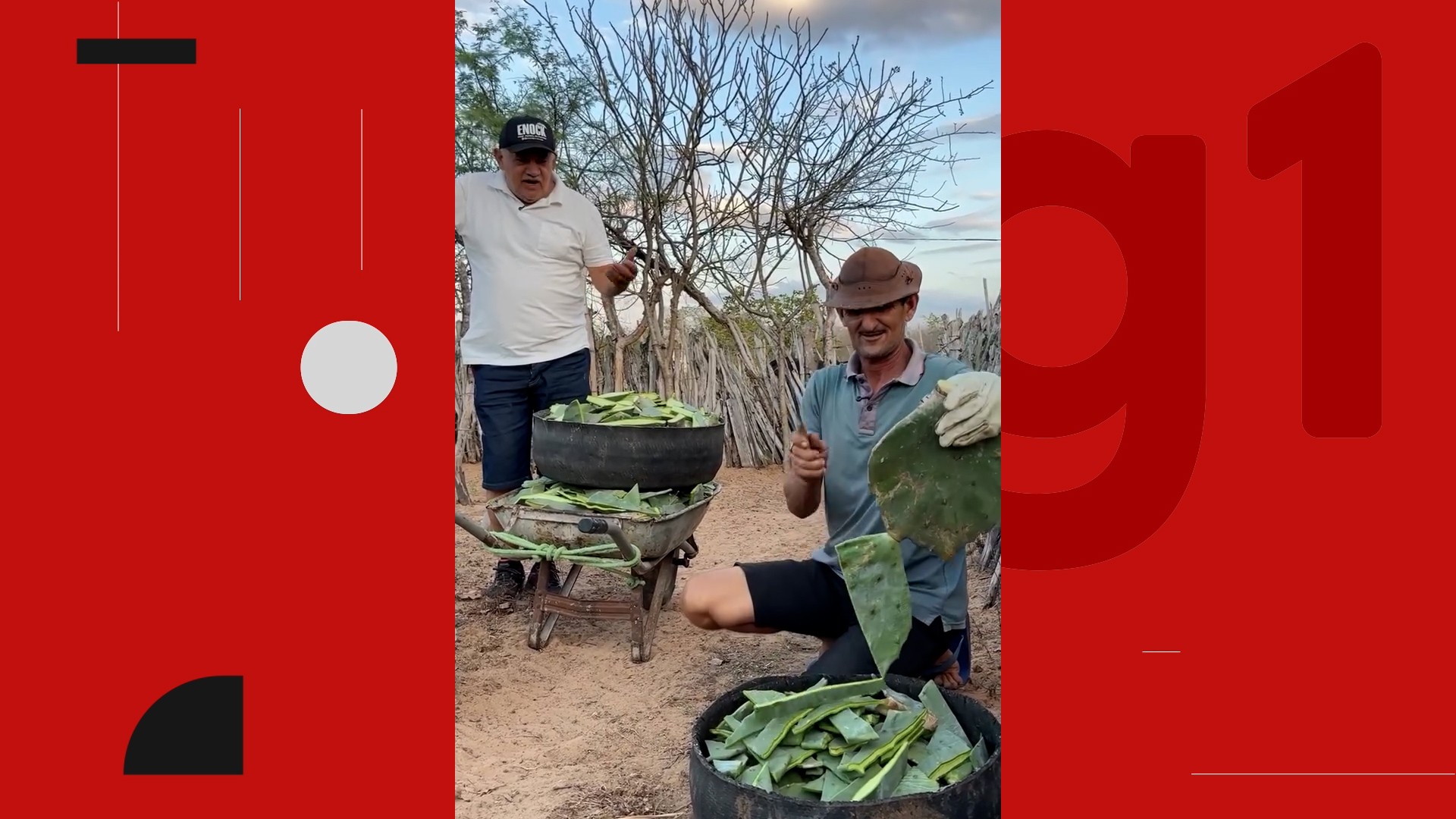 Conheça a história de agricultores da Paraíba que viralizaram mostrando dia a dia da vida rural