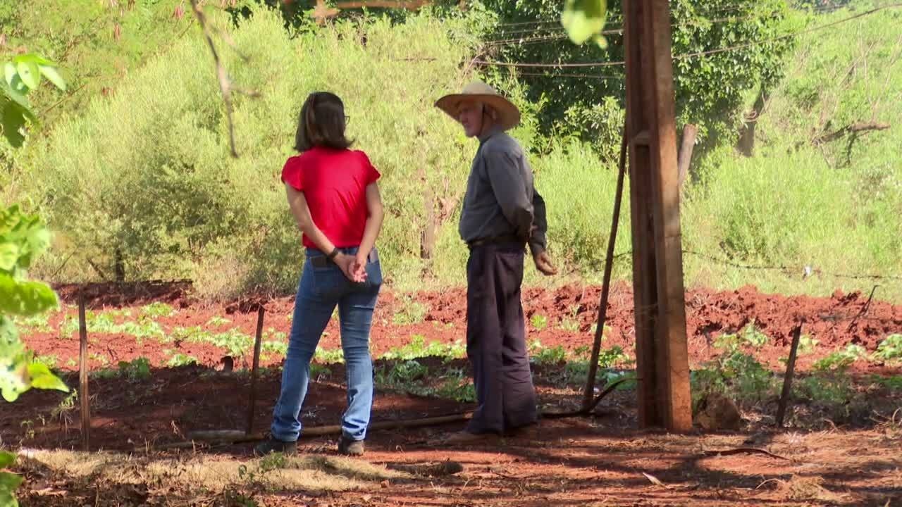 População rural cai 17% em 12 anos no Paraná | Caminhos do Campo | G1
