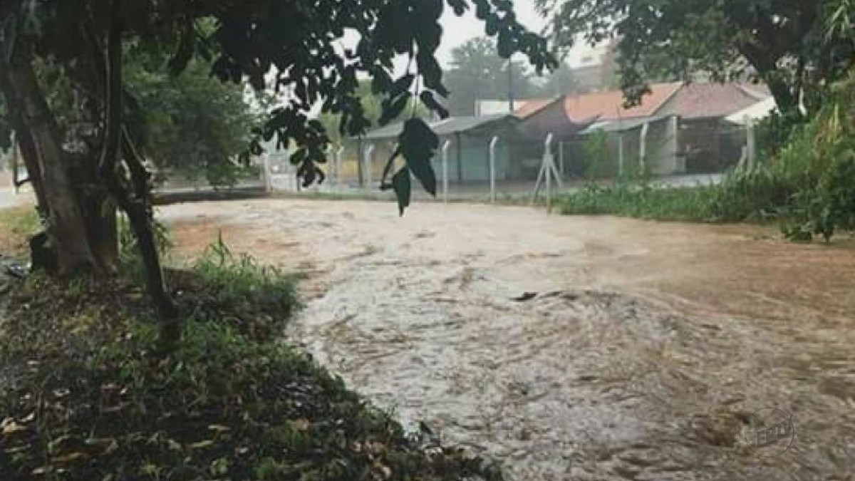 Chuva Derruba árvores E Causa Transtornos Em São José Do Rio Pardo, SP ...