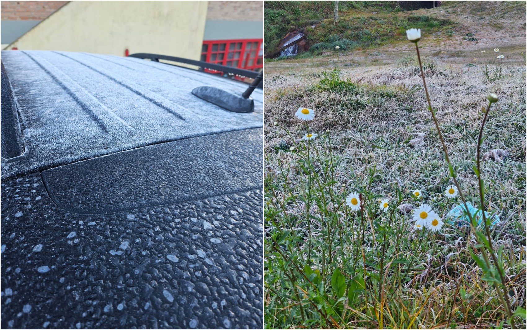Geada cobre Monte Verde e temperaturas ficam perto de 2°C no último dia de julho