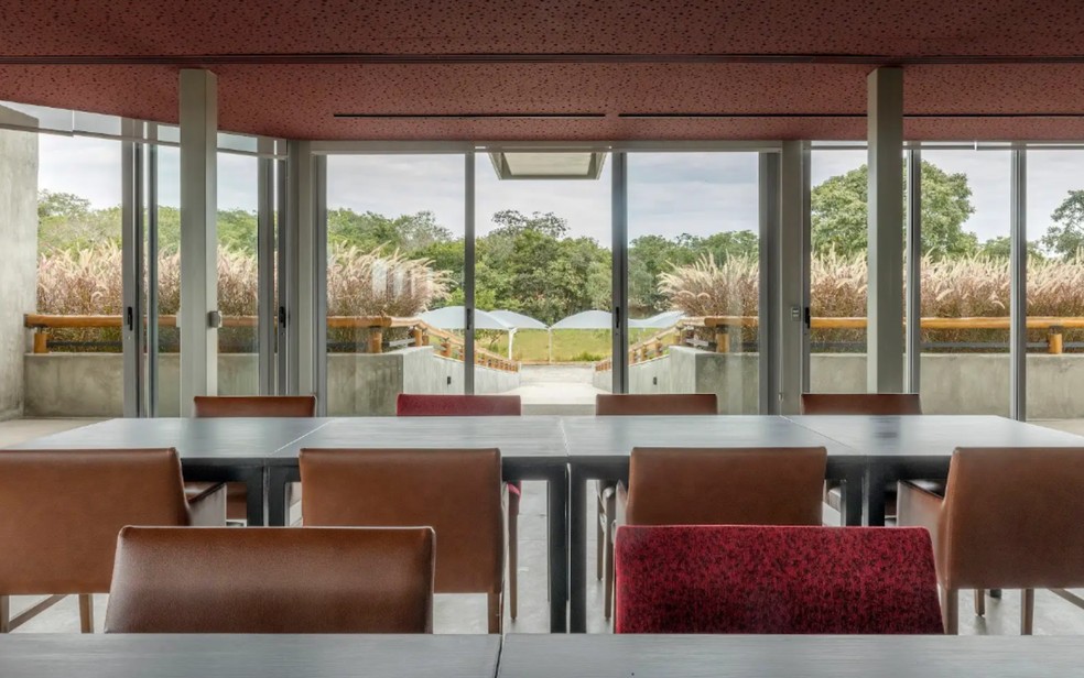 Vin�cola S�o Patr�cio, em Rian�polis � Foto: Divulga��o/Vin�cola S�o Patr�cio