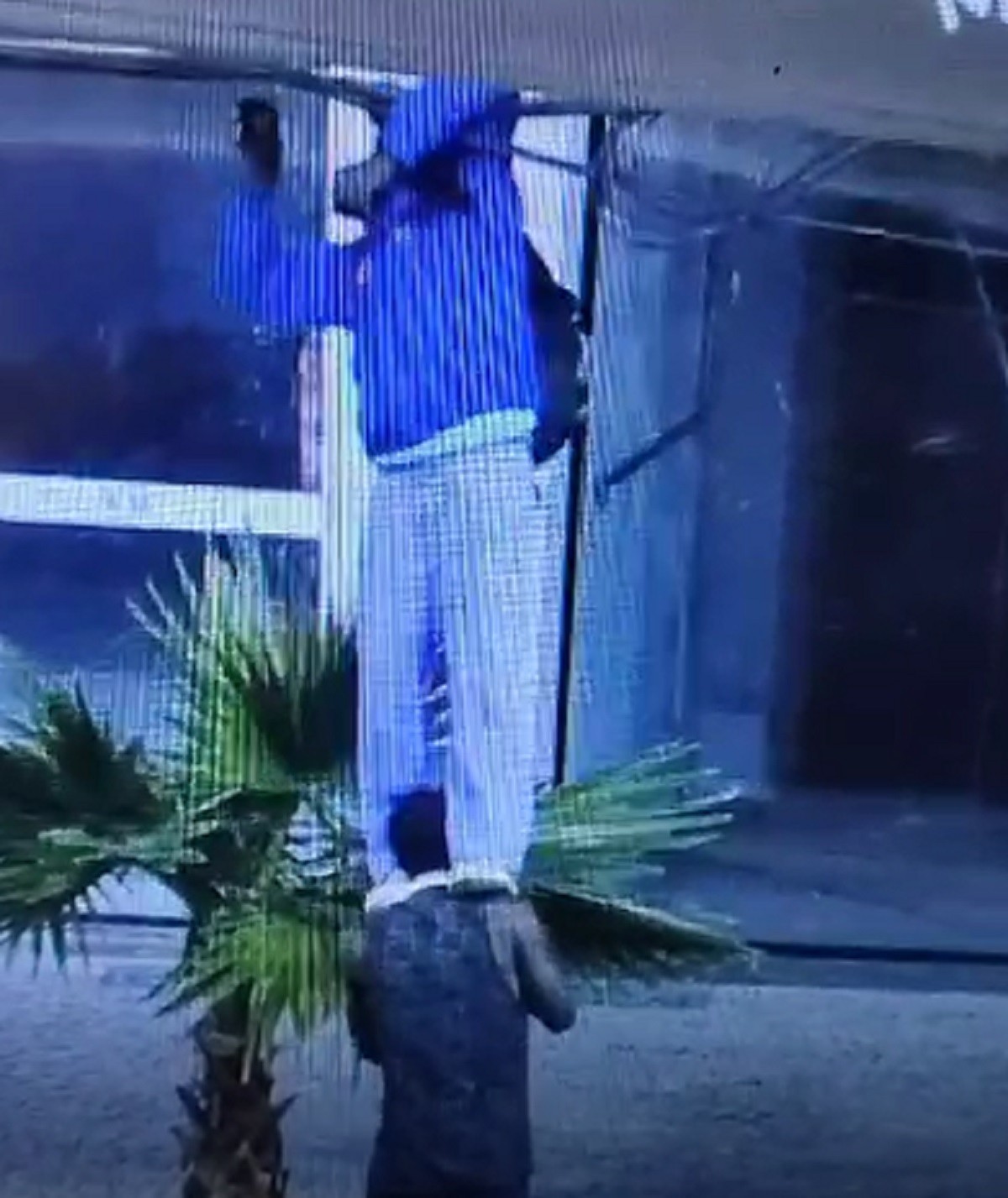 Ladrão 'escala' em comparsa para furtar cabos no Centro de Juiz de Fora; VÍDEO