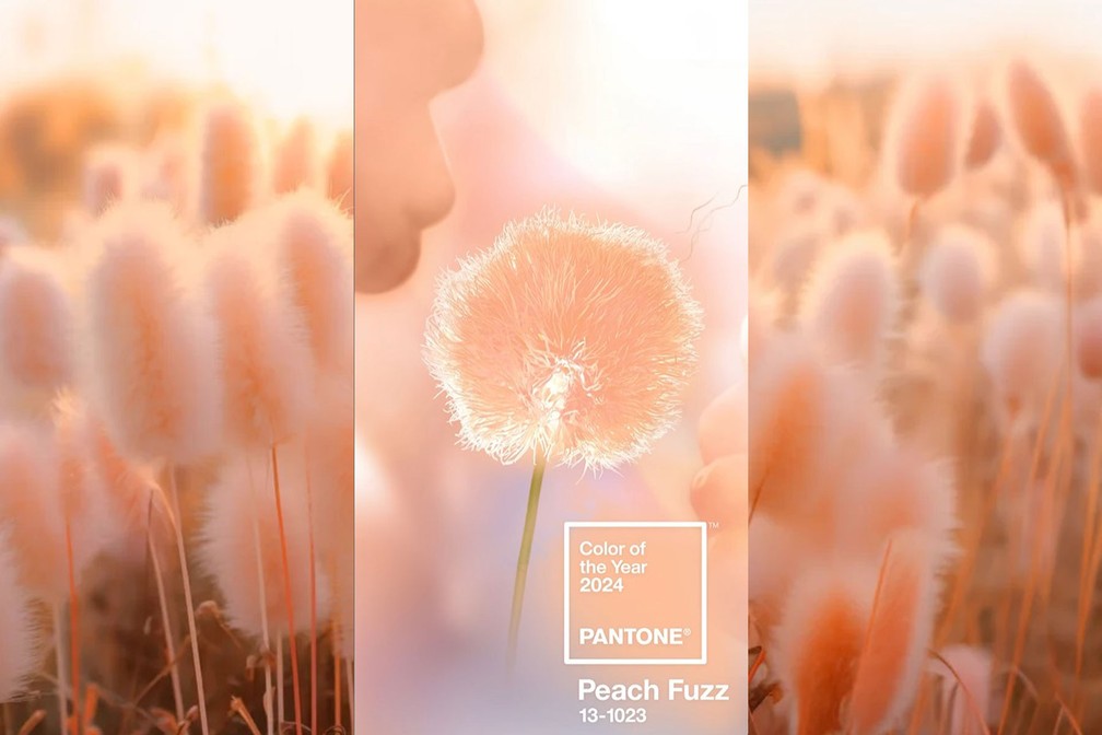 Pantone anuncia 'Peach Fuzz' como cor de 2024 — Foto: Reprodução/Instagram/Pantone