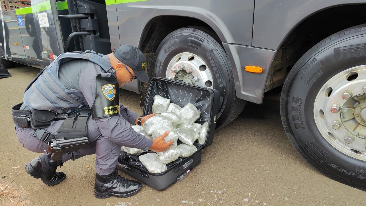 Paraguaio é preso com mais de 40 porções de skunk na bagagem de ônibus abordado no interior do SP