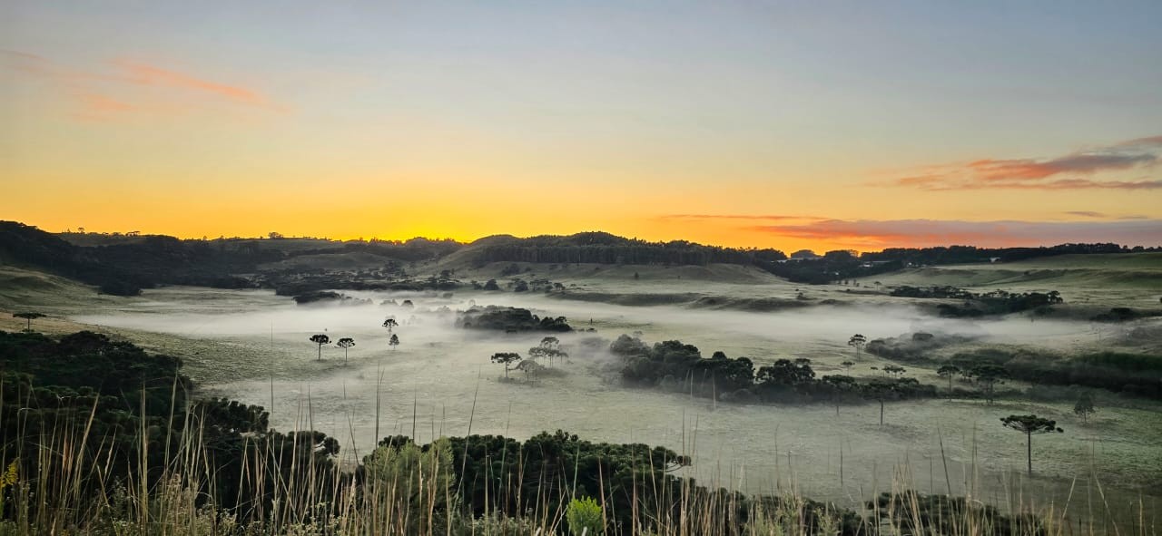 SC tem frio de 2,5ºC e geada antes do fim do verão 