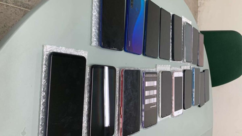 A investigação teve início após um Boletim de Ocorrência (BO) ser registrado em abril deste ano. — Foto: Divulgação/Polícia Civil