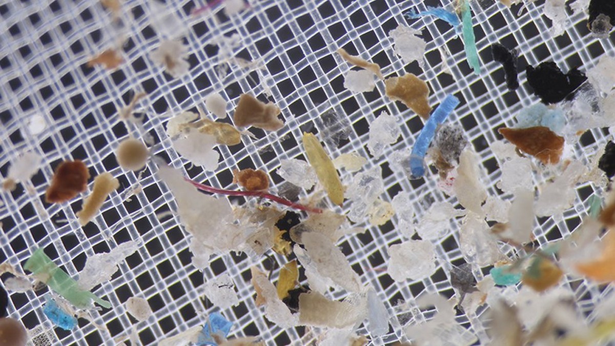 Cientistas americanos encontram microplásticos no gelo do Ártico ...