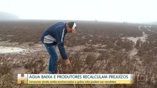 RS: Água baixa e produtores rurais recalculam prejuízos - Programa: Jornal Hoje 